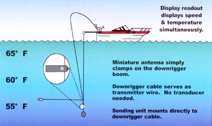 Downrigger Trolling Setup Diagram